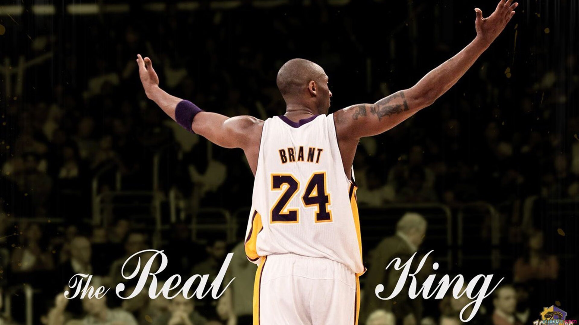 -体坛老将复出传闻，引发球迷期待